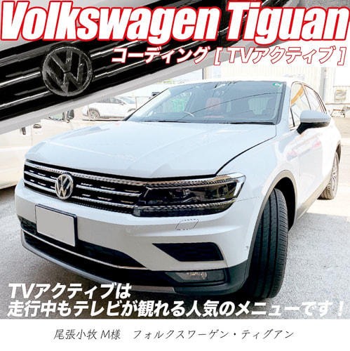 フォルクスワーゲン　VW　コーディング　輸入車　愛知県北名古屋市